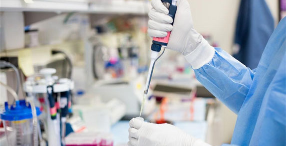 日皮视频在线观看環境黄色日皮视频软件技術(上海)有限公司